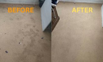 Carpet Cleaning Services in Manchester