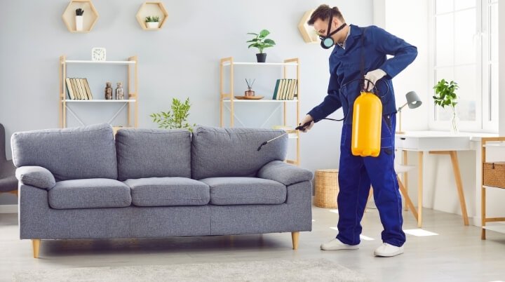 Leather Cleaning Services